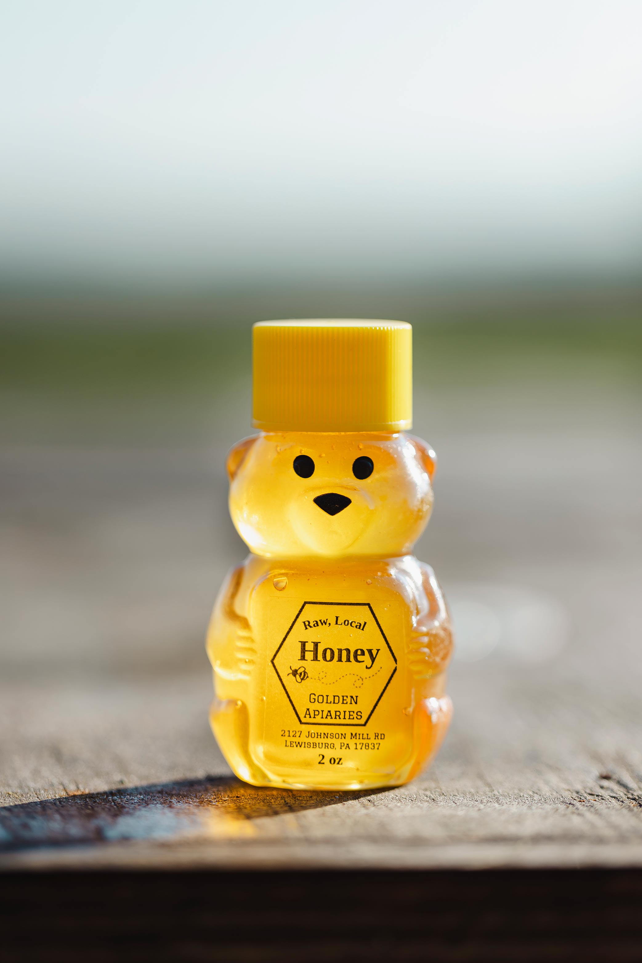 2 oz Mini Honey Bear – Raw Local Honey Favor | Golden Apiaries