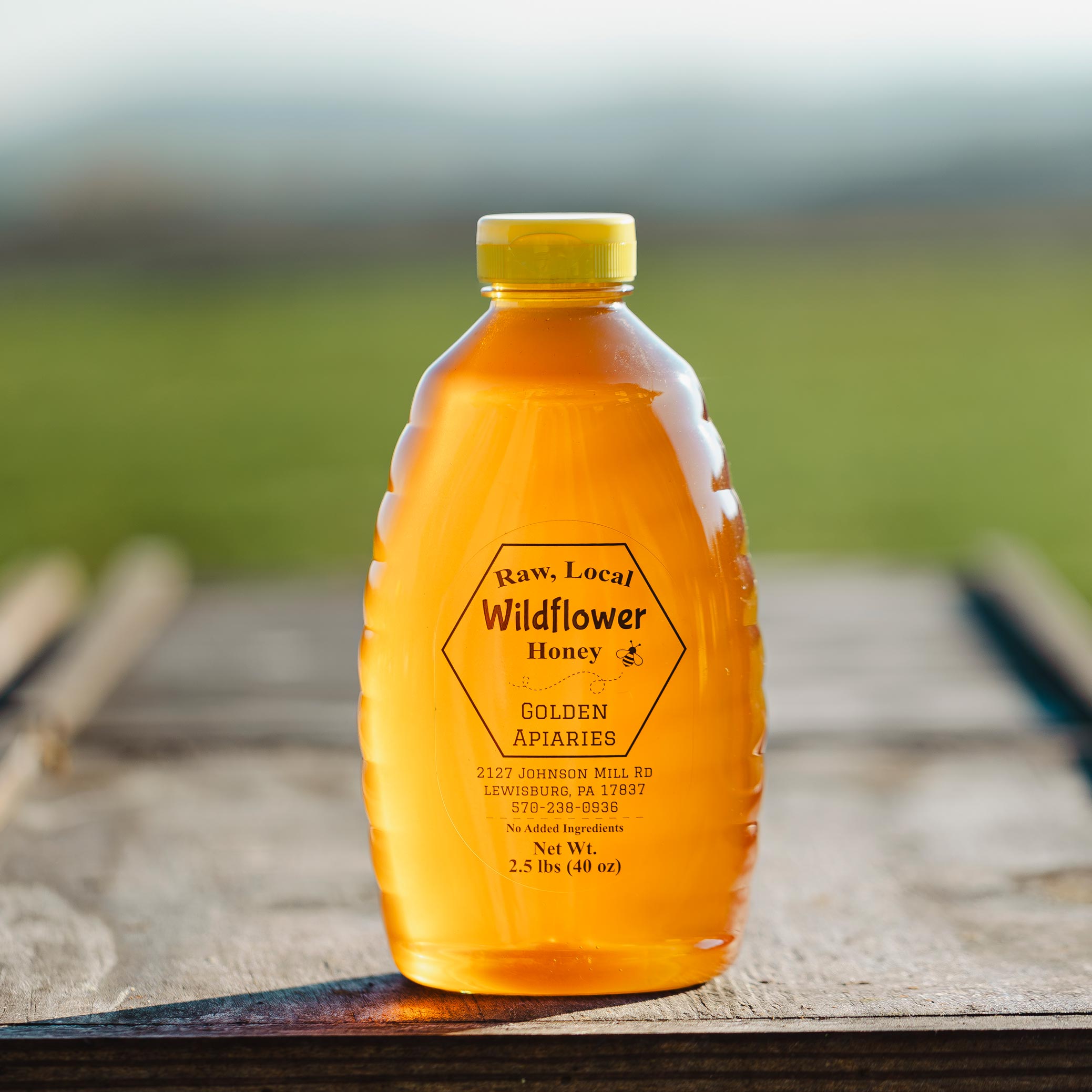 2.5 lb Squeeze Bottle – Raw Local Honey | Golden Apiaries